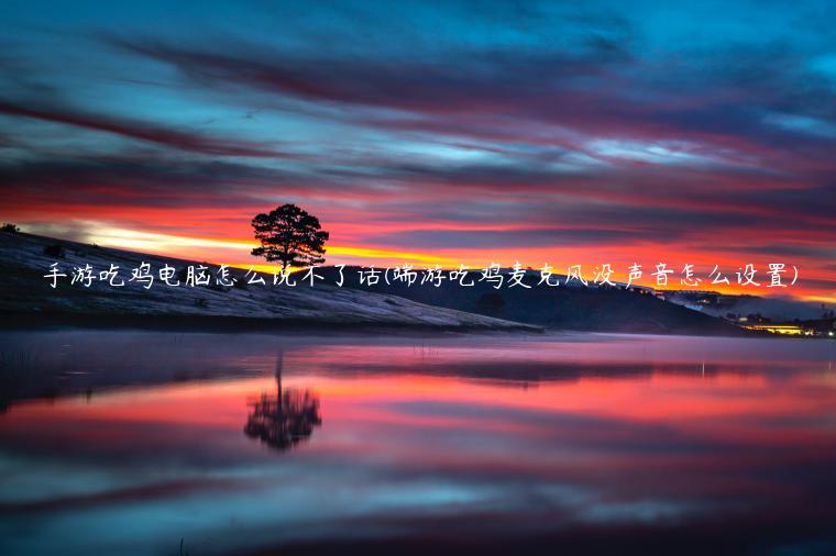 手游吃鸡电脑怎么说不了话(端游吃鸡麦克风没声音怎么设置)