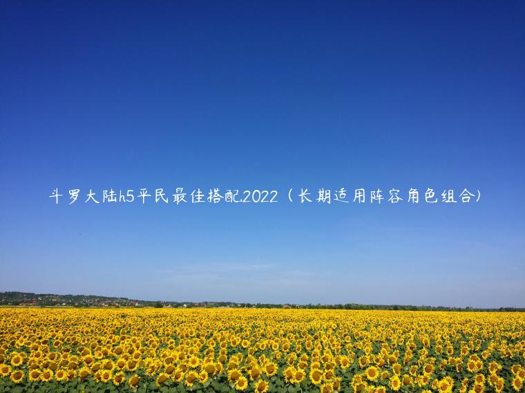 斗罗大陆h5平民最佳搭配2022（长期适用阵容角色组合)