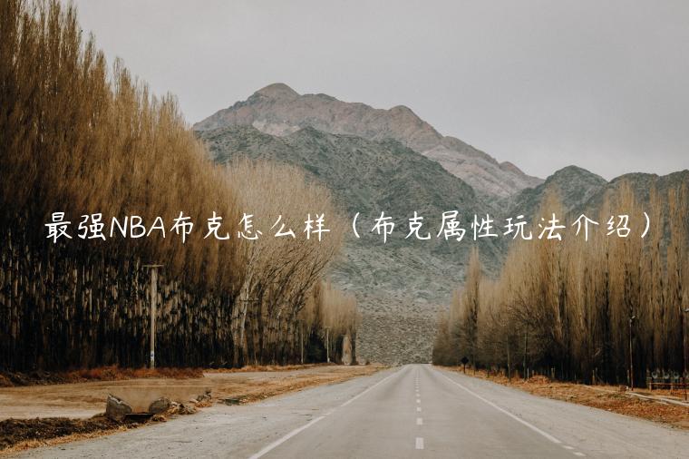 最强NBA布克怎么样（布克属性玩法介绍）