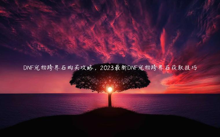 DNF宠物跨界石购买攻略，2023最新DNF宠物跨界石获取技巧