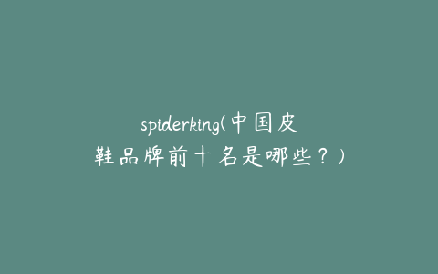 spiderking(中国皮鞋品牌前十名是哪些？)