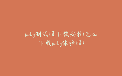 pubg测试服下载安装(怎么下载pubg体验服)