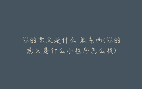 你的意义是什么 鬼东西(你的意义是什么小程序怎么找)