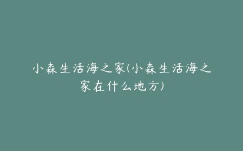 小森生活海之家(小森生活海之家在什么地方)