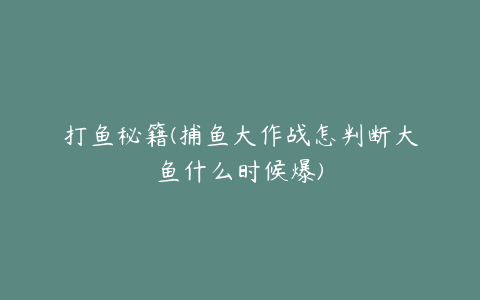 打鱼秘籍(捕鱼大作战怎判断大鱼什么时候爆)