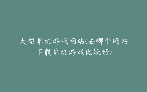 大型单机游戏网站(去哪个网站下载单机游戏比较好)