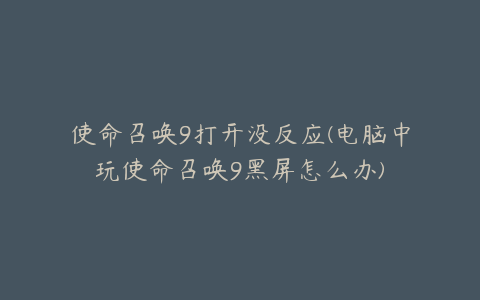 使命召唤9打开没反应(电脑中玩使命召唤9黑屏怎么办)