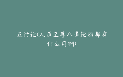 五行轮(人道至尊八道轮回都有什么用啊)