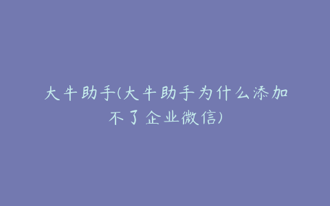 大牛助手(大牛助手为什么添加不了企业微信)