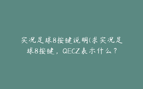 实况足球8按键说明(求实况足球8按键，QECZ表示什么？)