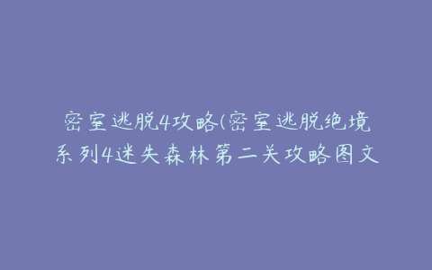 密室逃脱4攻略(密室逃脱绝境系列4迷失森林第二关攻略图文大全)