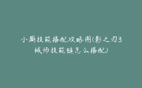 小厮技能搭配攻略图(影之刃3械师技能链怎么搭配)